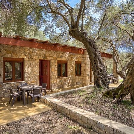 울친 Stonehouse In Olives 아파트 외부 사진