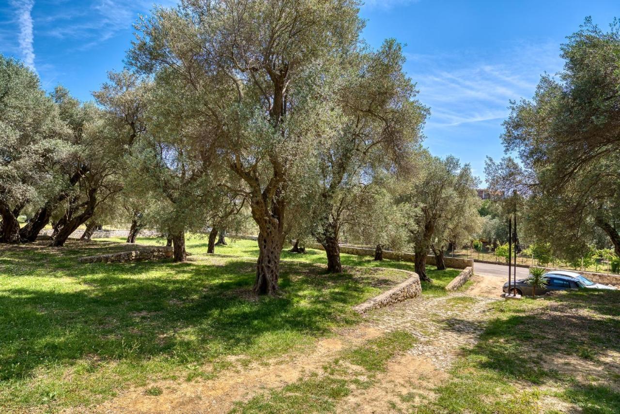 울친 Stonehouse In Olives 아파트 외부 사진