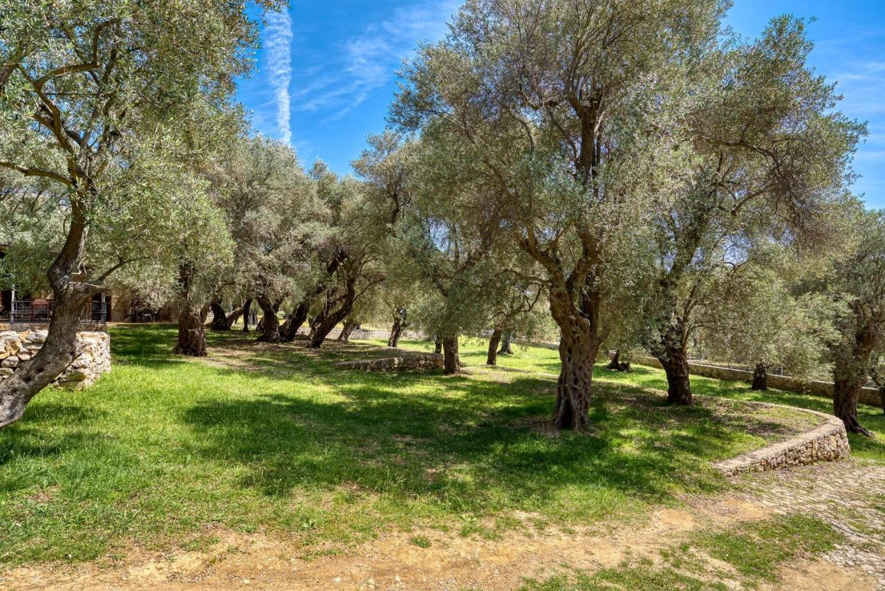 울친 Stonehouse In Olives 아파트 외부 사진